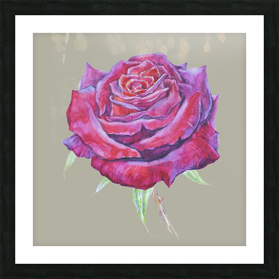 rosa8 Picture Frame print