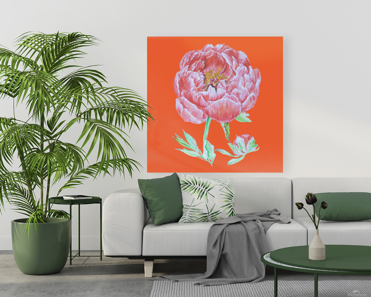 peony39 Reproduction