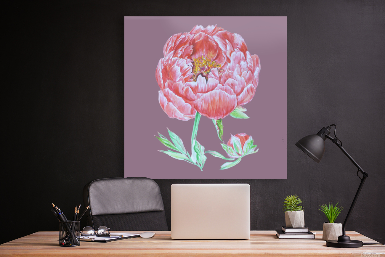 peony37 Reproduction
