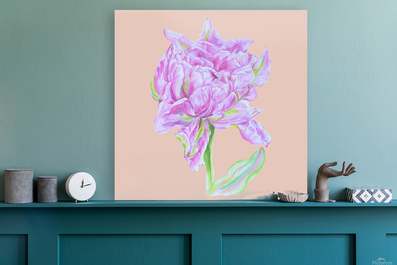 tulip34 Reproduction