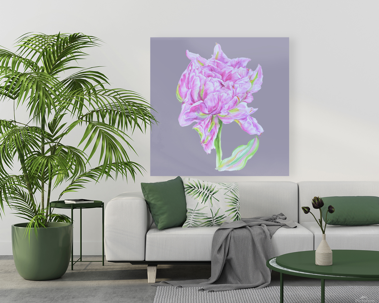 tulip37 Reproduction