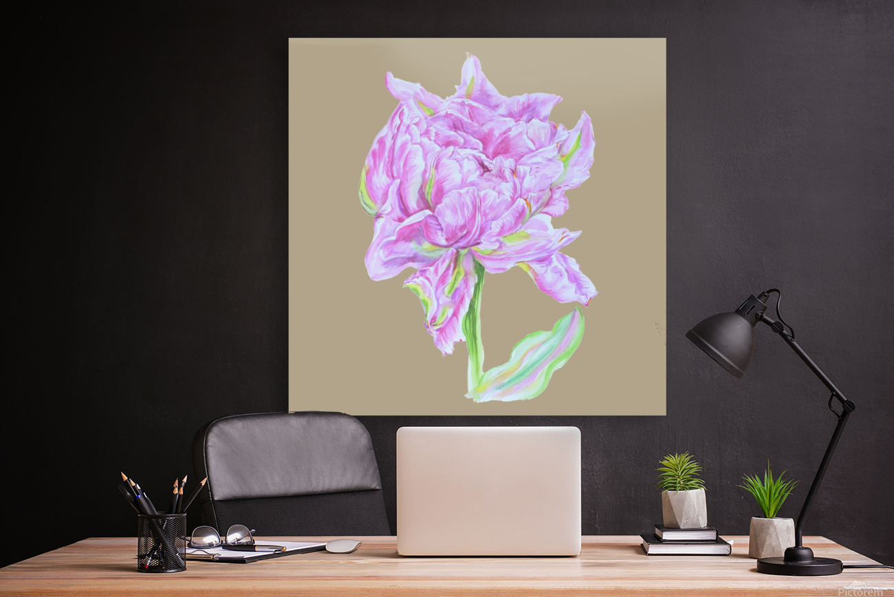 tulip33 Reproduction