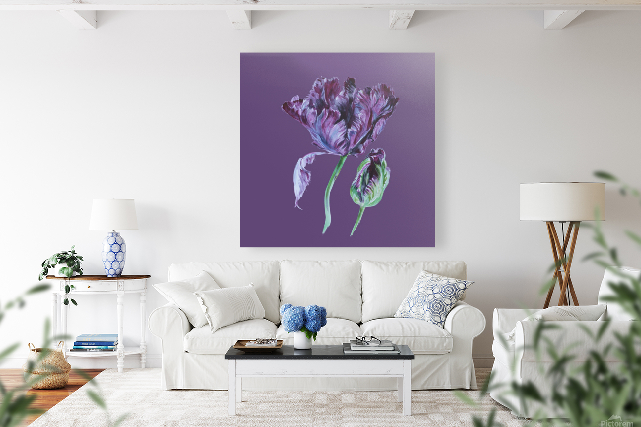 tulip206 Reproduction
