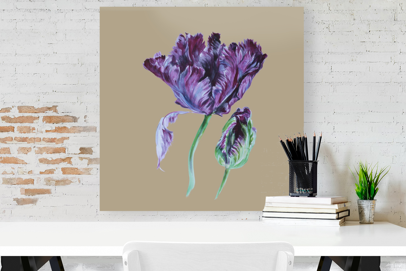 tulip205 Reproduction