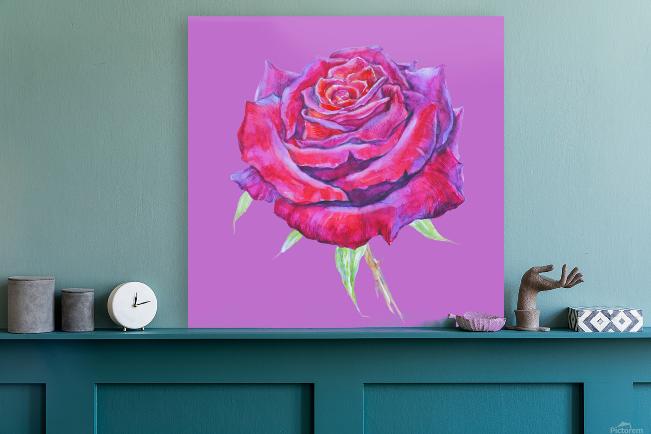 rosa14 Reproduction