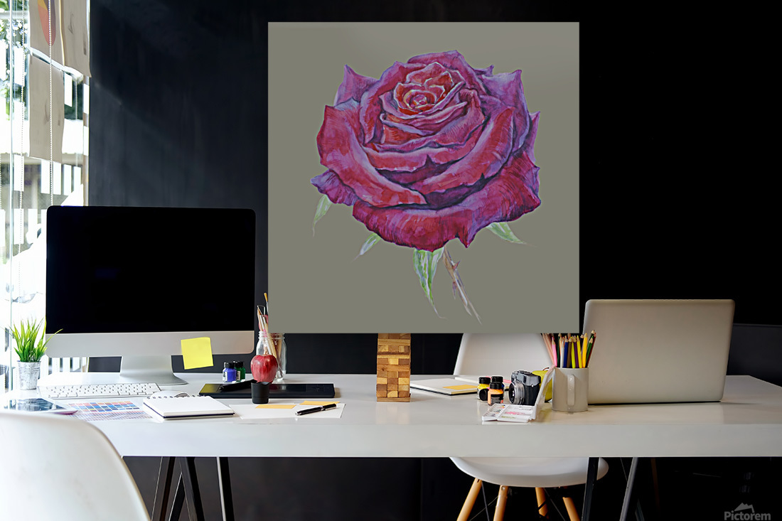 rosa8 Reproduction