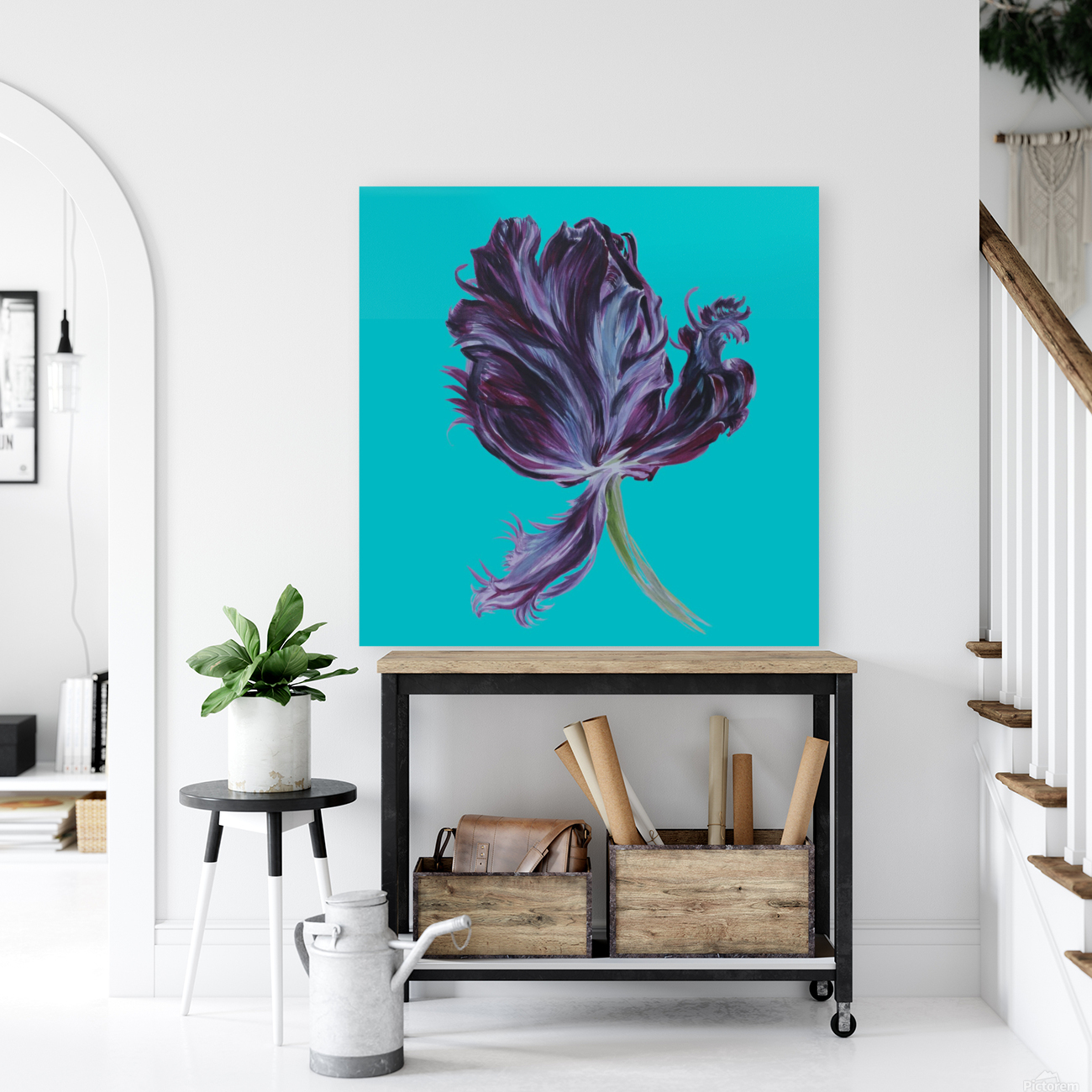tulip312 Reproduction