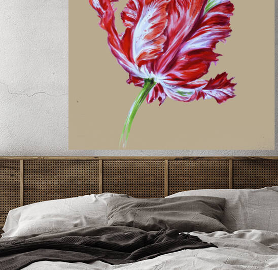 TULIP viva magenta7 by  MadArt Valentina