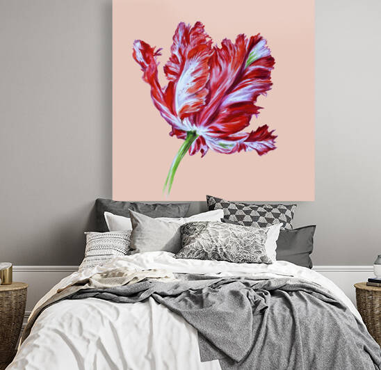 TULIP viva magenta3 by  MadArt Valentina