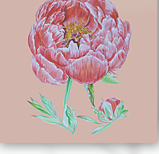 peony34 by  MadArt Valentina