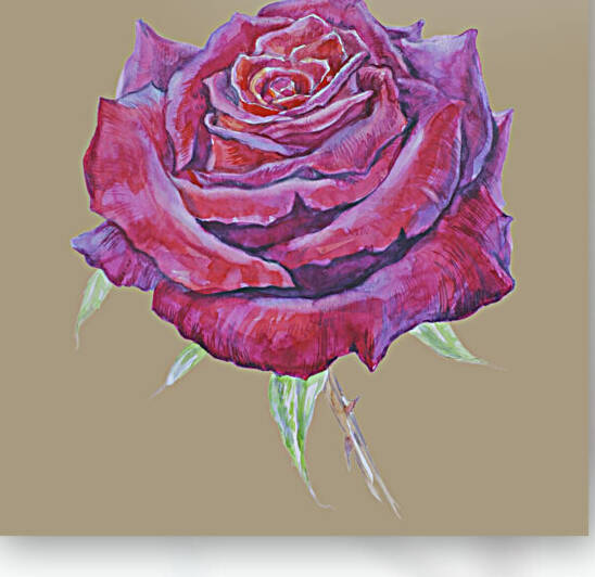 rosa9 by  MadArt Valentina