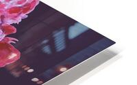 peony9 HD Metal print