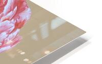peony33 HD Metal print