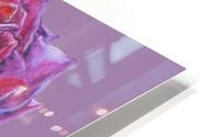 rosa5 HD Metal print