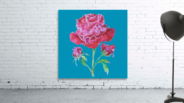 peony5 Wall Preview