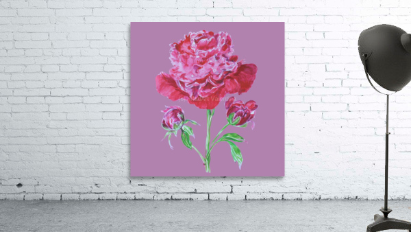 peony4 Wall Preview