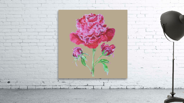 peony7 Wall Preview