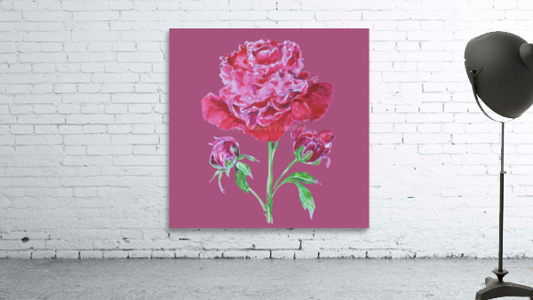 peony3 Wall Preview
