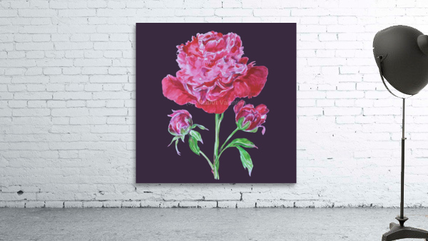 peony9 Wall Preview