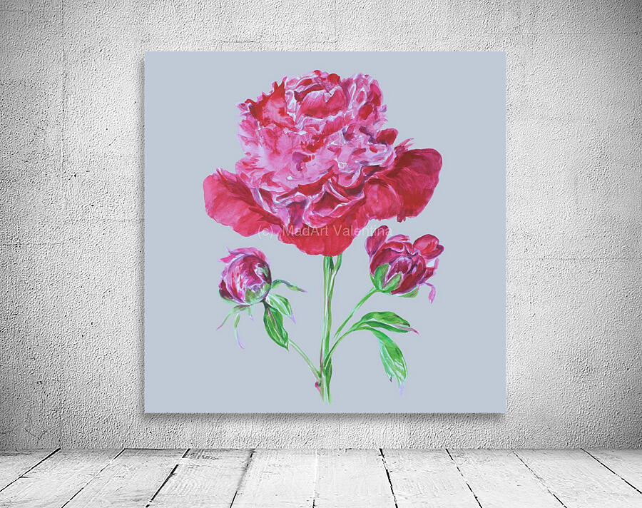 peony10 Wall Preview