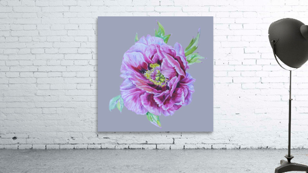 peony27 Wall Preview