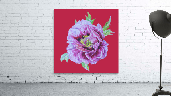 peony24 Wall Preview