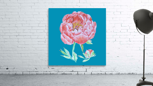 peony30 Wall Preview