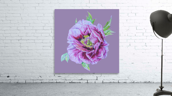 peony26 Wall Preview