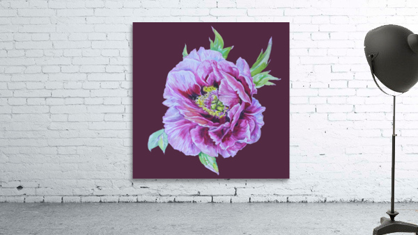 peony28 Wall Preview