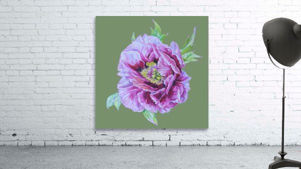peony29 Wall Preview