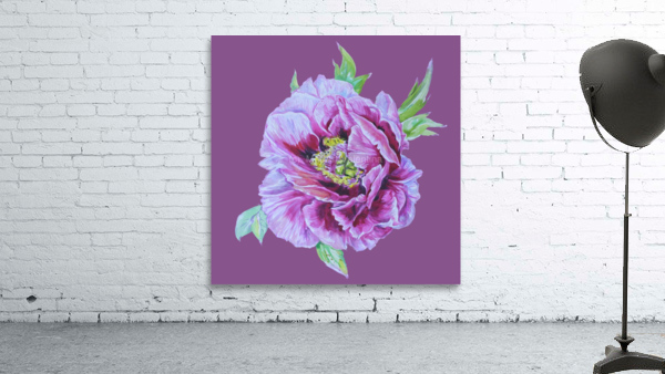 peony25 Wall Preview