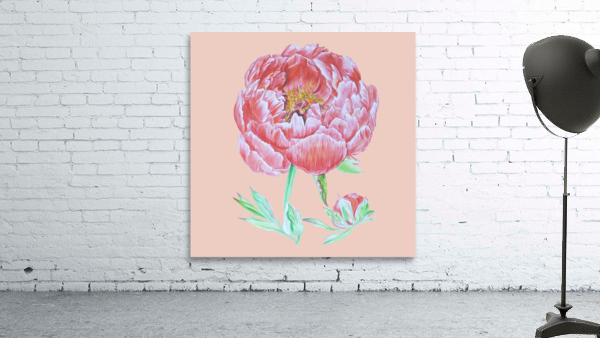 peony34 Wall Preview