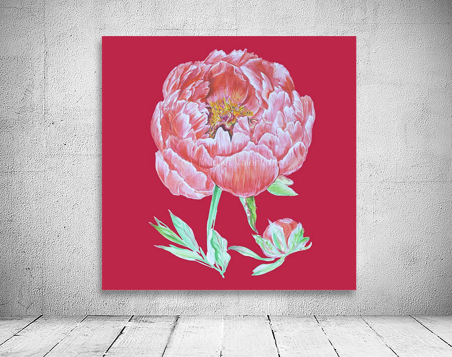 peony35 Wall Preview