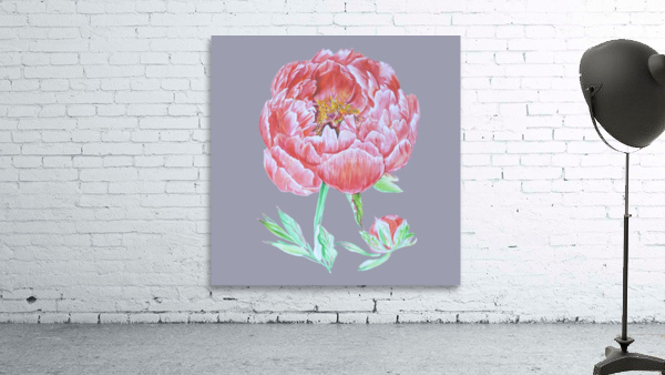 peony38 Wall Preview