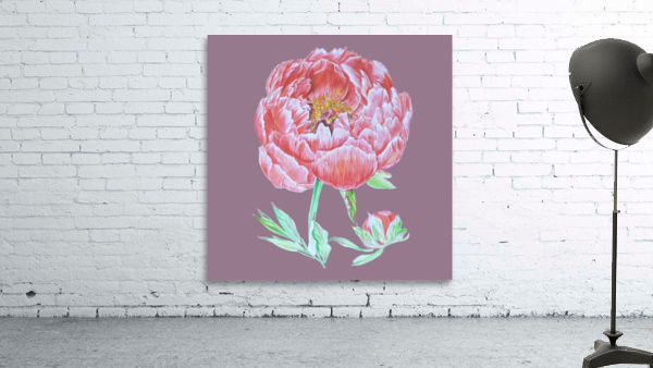 peony37 Wall Preview