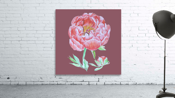 peony36 Wall Preview