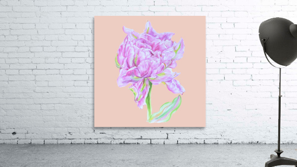 tulip34 Wall Preview