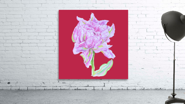 tulip35 Wall Preview