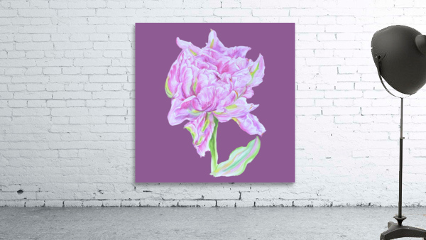 tulip36 Wall Preview