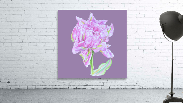 tulip38 Wall Preview