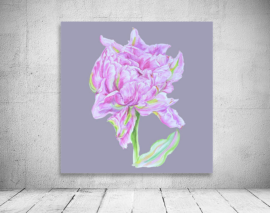 tulip37 Wall Preview