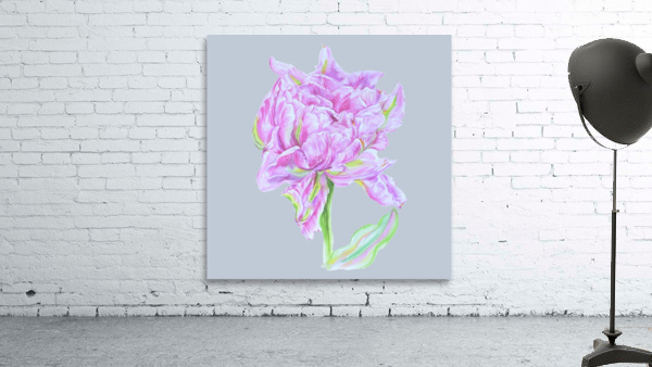 tulip32 Wall Preview