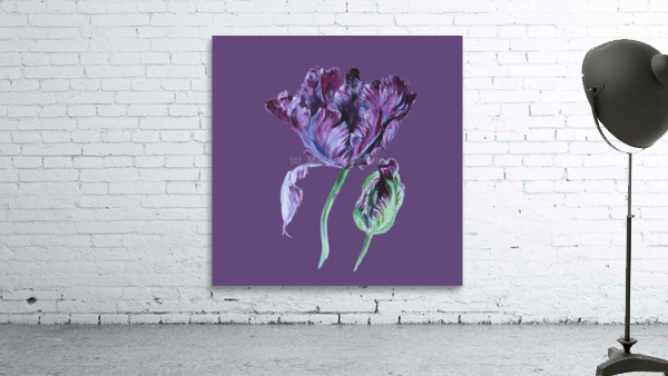 tulip206 Wall Preview