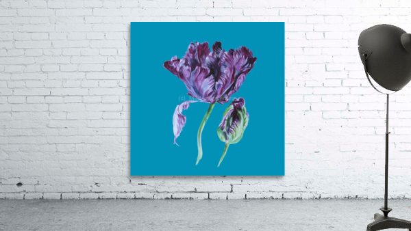 tulip210 Wall Preview