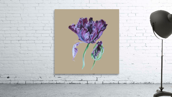 tulip205 Wall Preview