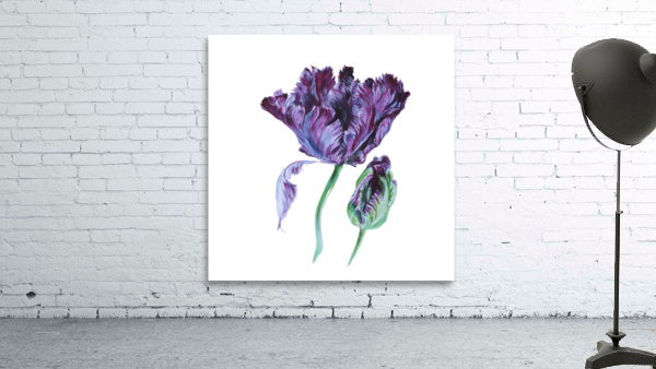 tulip202 Wall Preview