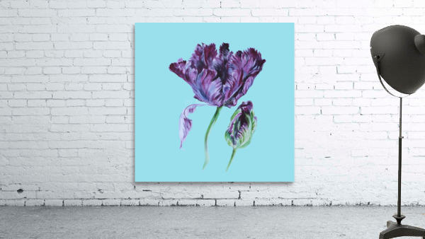 tulip209 Wall Preview