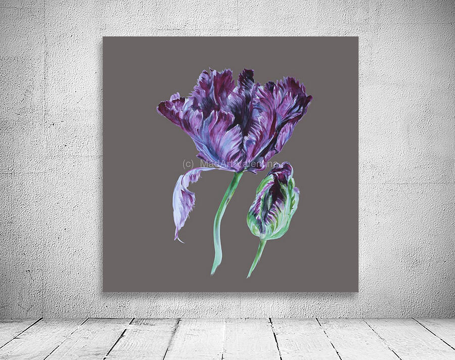 tulip201 Wall Preview
