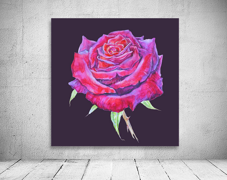 rosa15 Wall Preview