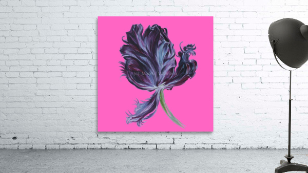 tulip311 Wall Preview